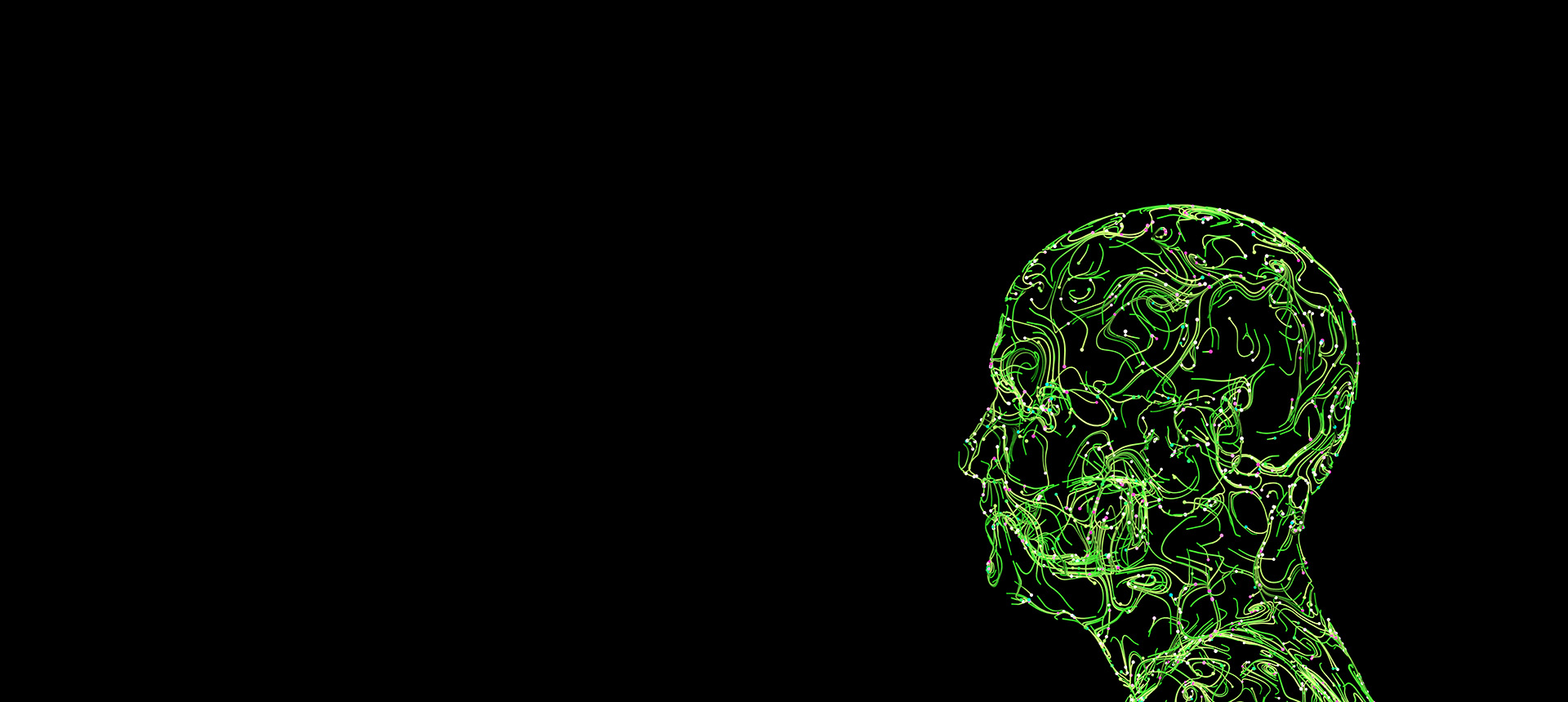 Shilo hero banner image with a back background and skull of a person drafter with lines