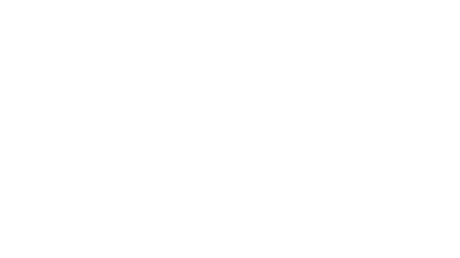 Boss